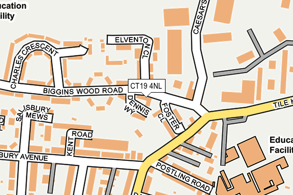 CT19 4NL map - OS OpenMap – Local (Ordnance Survey)