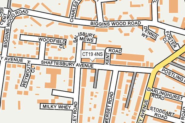 CT19 4NS map - OS OpenMap – Local (Ordnance Survey)