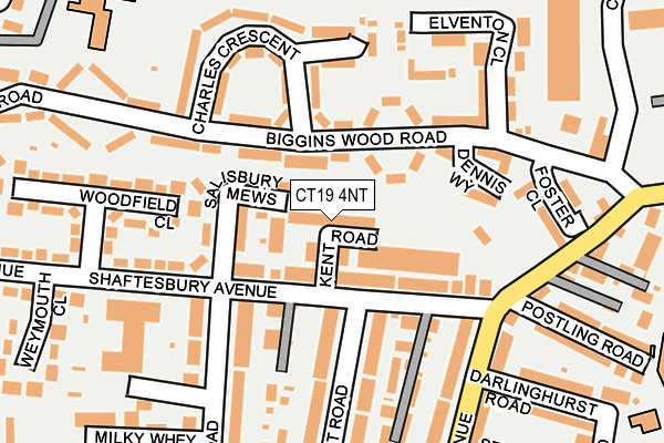 CT19 4NT map - OS OpenMap – Local (Ordnance Survey)