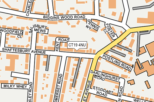CT19 4NU map - OS OpenMap – Local (Ordnance Survey)