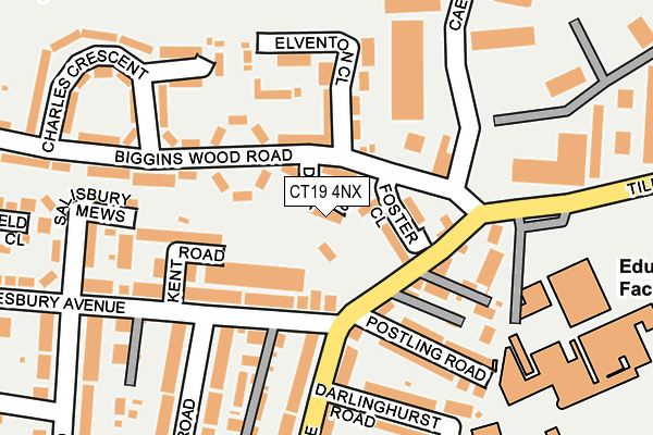 CT19 4NX map - OS OpenMap – Local (Ordnance Survey)