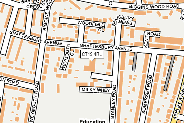 CT19 4RL map - OS OpenMap – Local (Ordnance Survey)