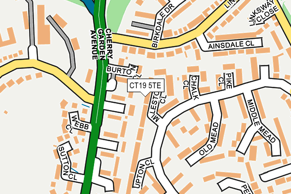 CT19 5TE map - OS OpenMap – Local (Ordnance Survey)