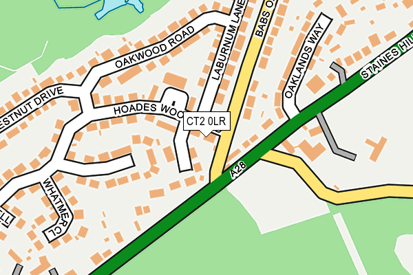 CT2 0LR map - OS OpenMap – Local (Ordnance Survey)