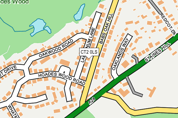 CT2 0LS map - OS OpenMap – Local (Ordnance Survey)