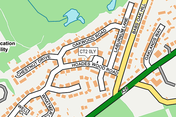 Map of BELGRAVE LIVING LTD at local scale