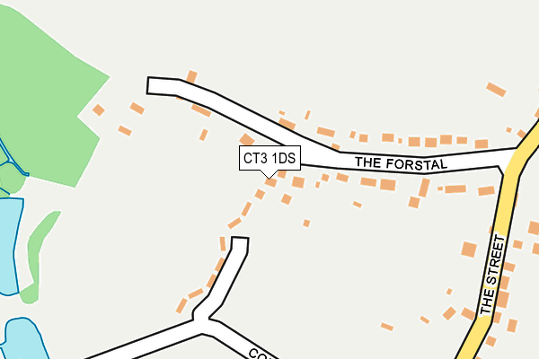 CT3 1DS map - OS OpenMap – Local (Ordnance Survey)