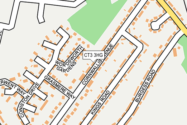 Map of TREE GUYS KENT LIMITED at local scale