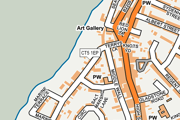 CT5 1EP map - OS OpenMap – Local (Ordnance Survey)