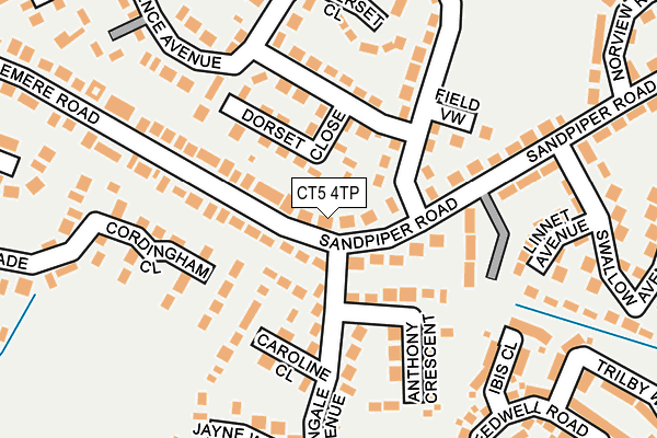 CT5 4TP map - OS OpenMap – Local (Ordnance Survey)