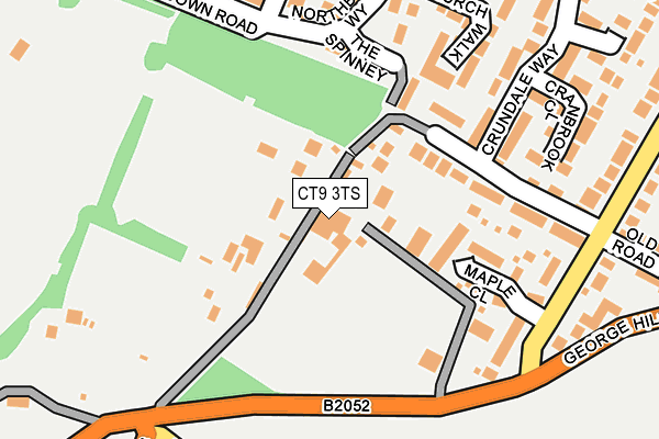 CT9 3TS map - OS OpenMap – Local (Ordnance Survey)