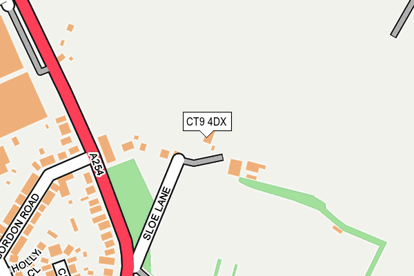 CT9 4DX map - OS OpenMap – Local (Ordnance Survey)