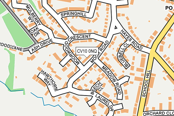 CV10 0NQ map - OS OpenMap – Local (Ordnance Survey)