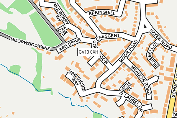 CV10 0XH map - OS OpenMap – Local (Ordnance Survey)