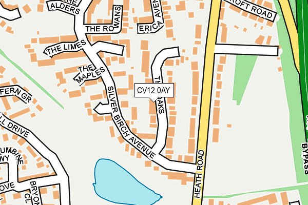 CV12 0AY map - OS OpenMap – Local (Ordnance Survey)