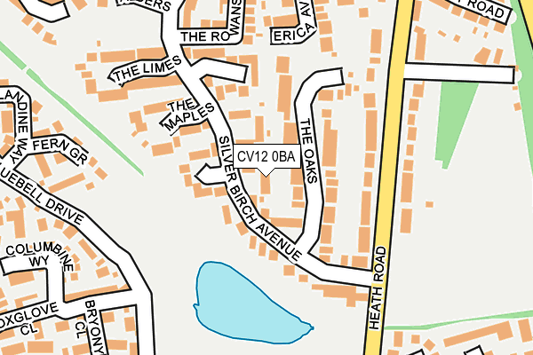 CV12 0BA map - OS OpenMap – Local (Ordnance Survey)