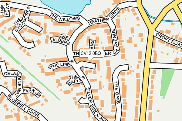 CV12 0BQ map - OS OpenMap – Local (Ordnance Survey)