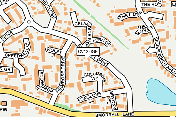 CV12 0GE map - OS OpenMap – Local (Ordnance Survey)