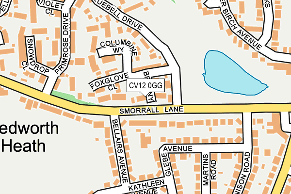 CV12 0GG map - OS OpenMap – Local (Ordnance Survey)