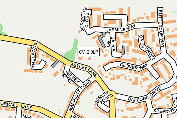 CV12 0LP map - OS OpenMap – Local (Ordnance Survey)