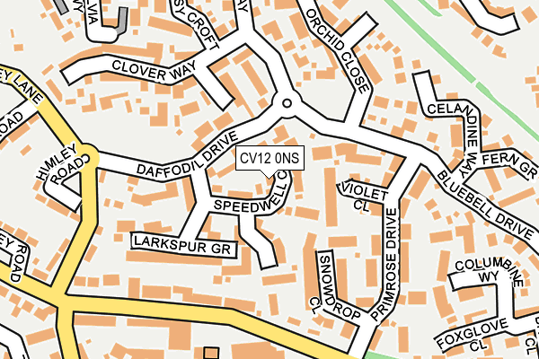 CV12 0NS map - OS OpenMap – Local (Ordnance Survey)