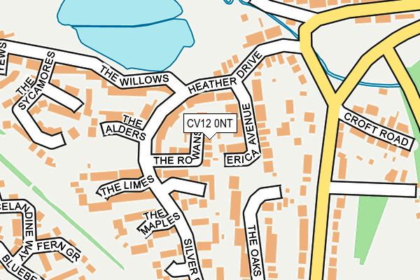 CV12 0NT map - OS OpenMap – Local (Ordnance Survey)