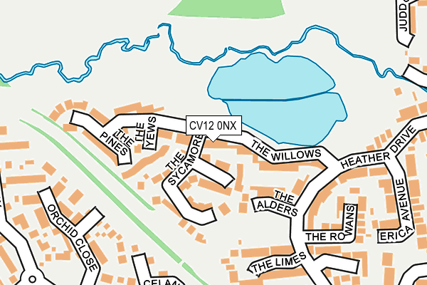 CV12 0NX map - OS OpenMap – Local (Ordnance Survey)