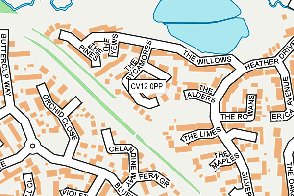 CV12 0PP map - OS OpenMap – Local (Ordnance Survey)