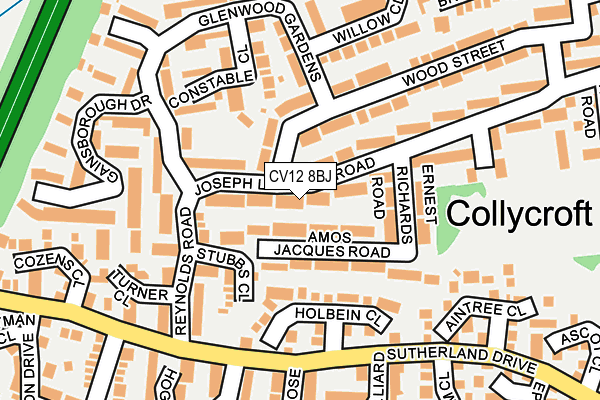 CV12 8BJ map - OS OpenMap – Local (Ordnance Survey)