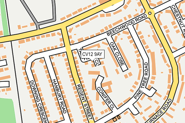 CV12 9AY map - OS OpenMap – Local (Ordnance Survey)