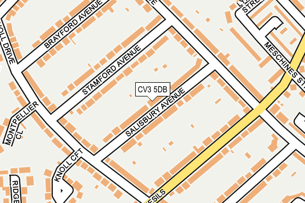 CV3 5DB map - OS OpenMap – Local (Ordnance Survey)