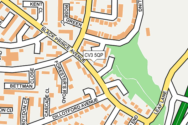 CV3 5QP map - OS OpenMap – Local (Ordnance Survey)
