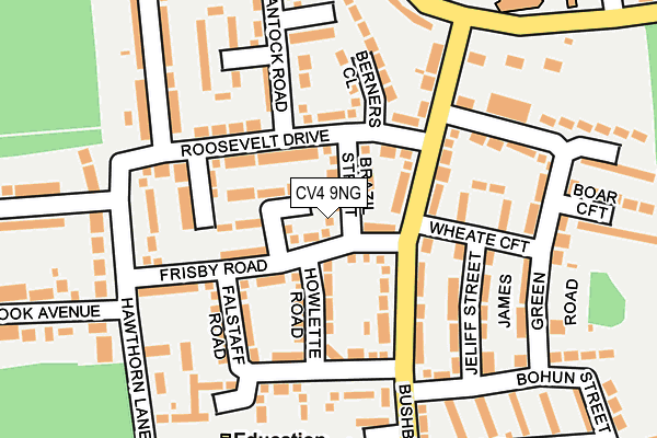 CV4 9NG map - OS OpenMap – Local (Ordnance Survey)