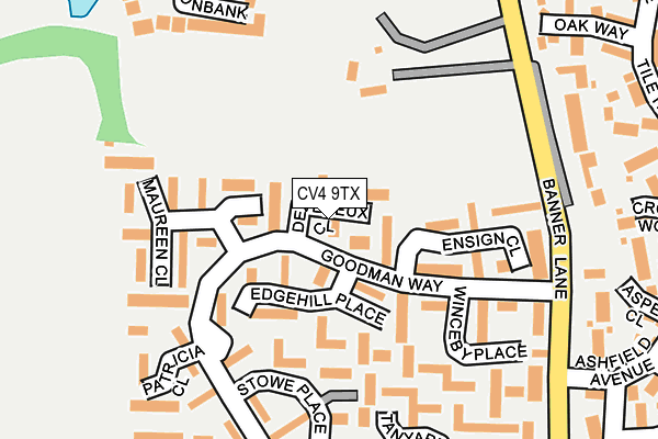 CV4 9TX map - OS OpenMap – Local (Ordnance Survey)