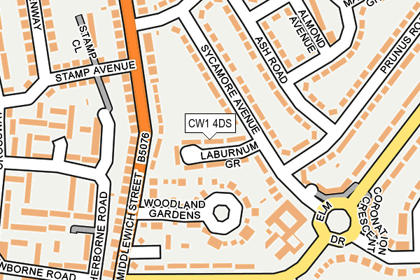 CW1 4DS map - OS OpenMap – Local (Ordnance Survey)