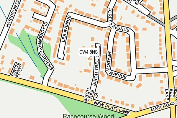 CW4 8NS map - OS OpenMap – Local (Ordnance Survey)