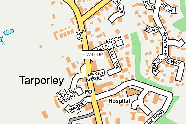 CW6 0DP map - OS OpenMap – Local (Ordnance Survey)