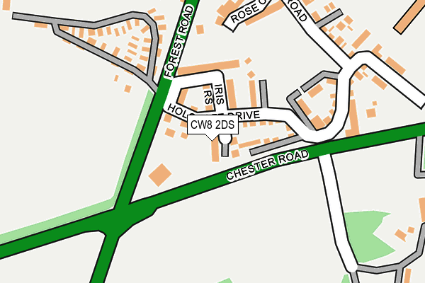 CW8 2DS map - OS OpenMap – Local (Ordnance Survey)