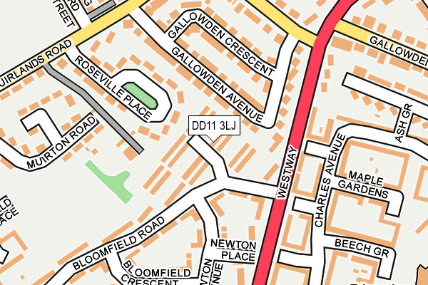 DD11 3LJ map - OS OpenMap – Local (Ordnance Survey)
