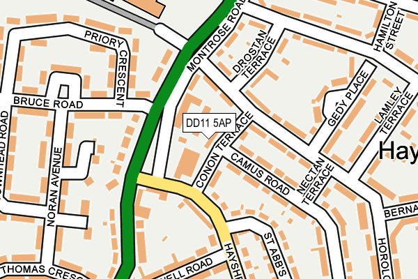 DD11 5AP map - OS OpenMap – Local (Ordnance Survey)