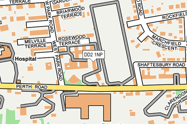 DD2 1NP map - OS OpenMap – Local (Ordnance Survey)