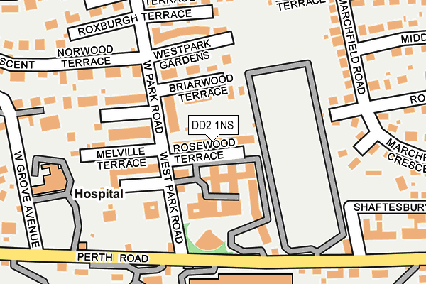 DD2 1NS map - OS OpenMap – Local (Ordnance Survey)