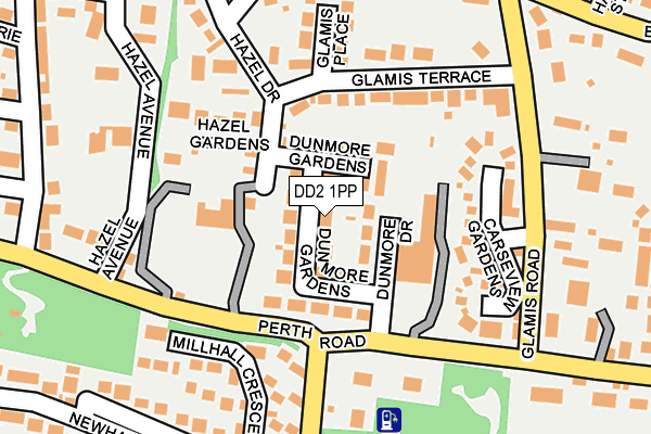 DD2 1PP map - OS OpenMap – Local (Ordnance Survey)