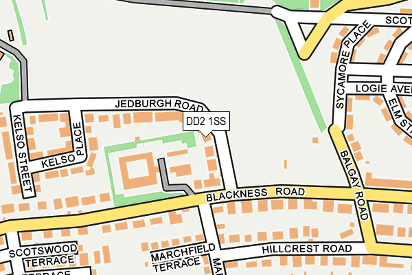 DD2 1SS map - OS OpenMap – Local (Ordnance Survey)