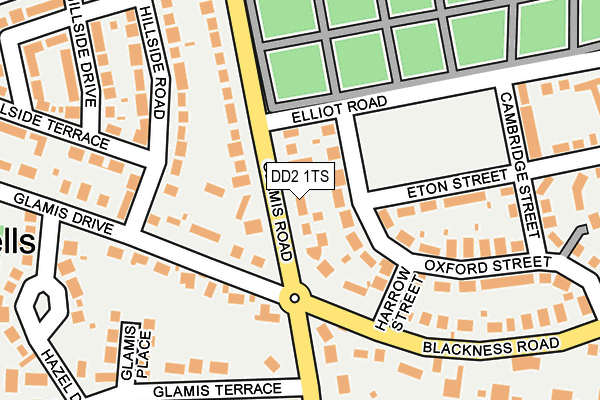 DD2 1TS map - OS OpenMap – Local (Ordnance Survey)