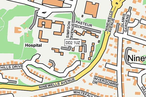 DD2 1UZ map - OS OpenMap – Local (Ordnance Survey)