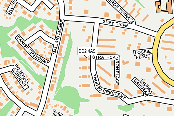 DD2 4AS map - OS OpenMap – Local (Ordnance Survey)