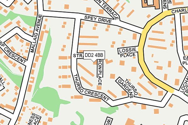 DD2 4BB map - OS OpenMap – Local (Ordnance Survey)