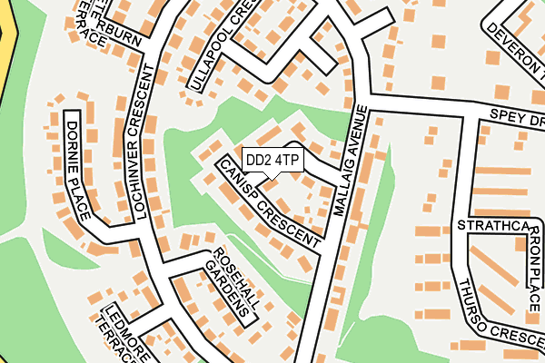 DD2 4TP map - OS OpenMap – Local (Ordnance Survey)