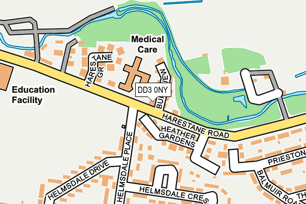 DD3 0NY map - OS OpenMap – Local (Ordnance Survey)